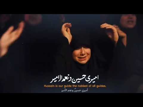 سید جواد پرئی مسافر کربلا
