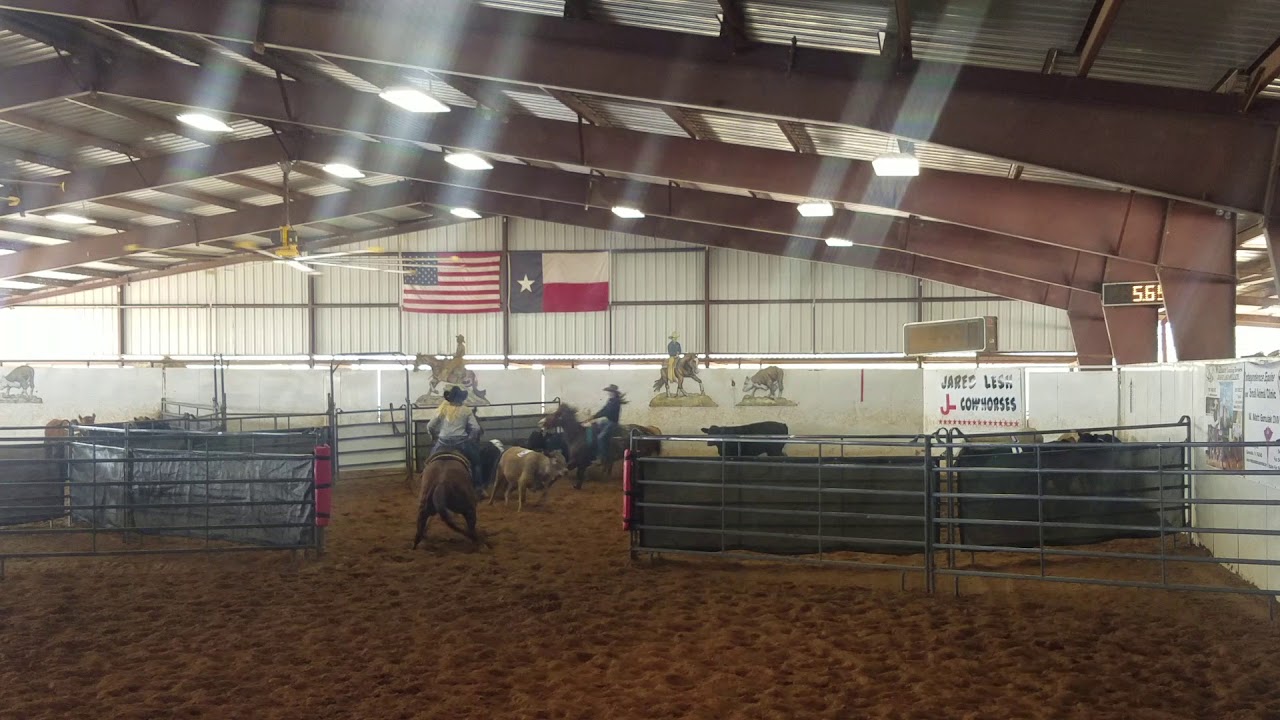 Xtra Smart Jazz - Ranch Sorting Run!