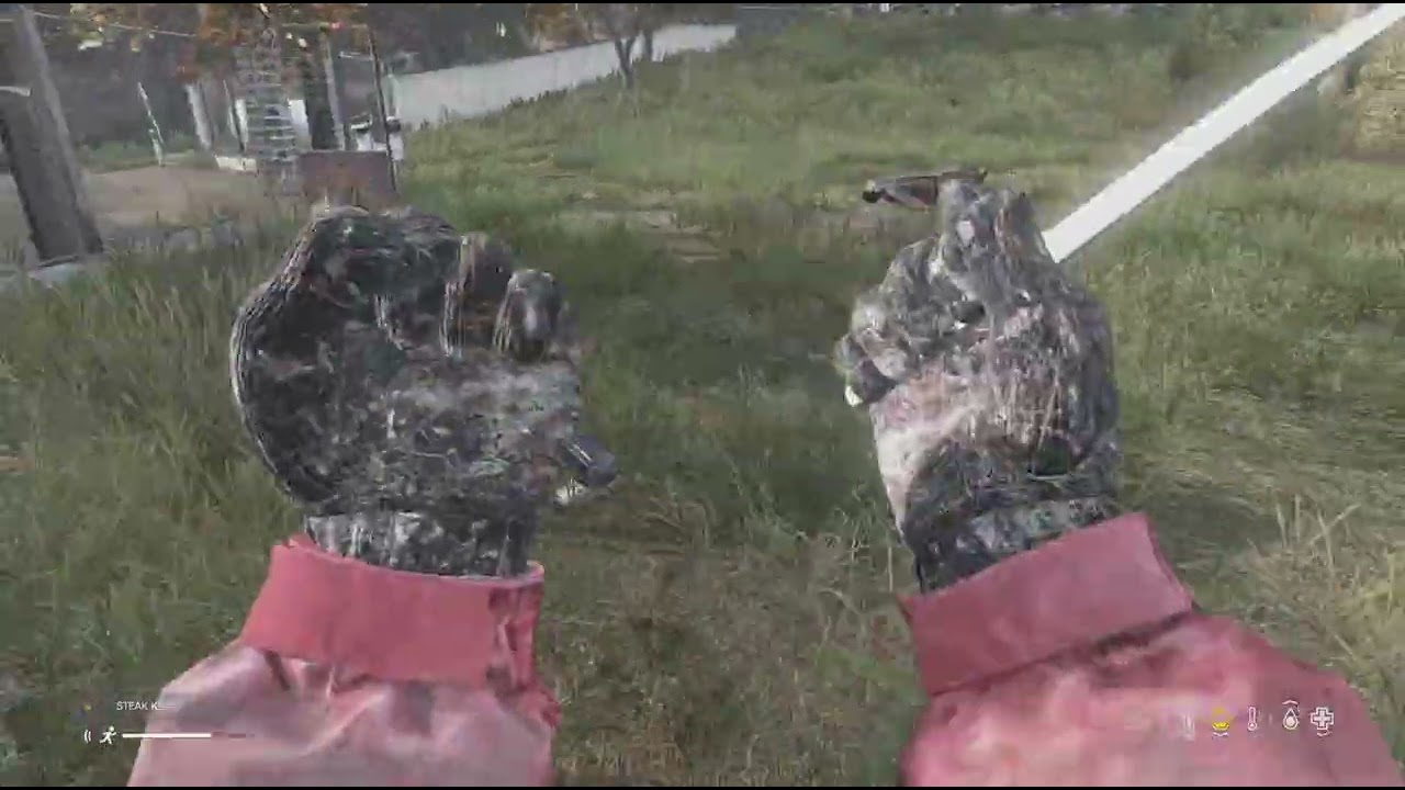 Got some 'special' loot today!! Official chernaus solo survival