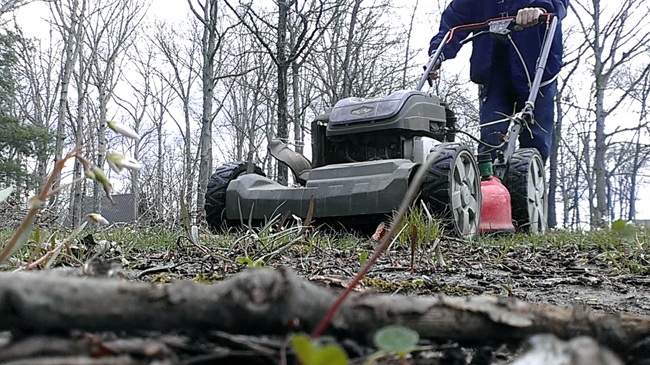 COLD START SNAPPER SELF PROPELLED LAWN MOWER YouTube