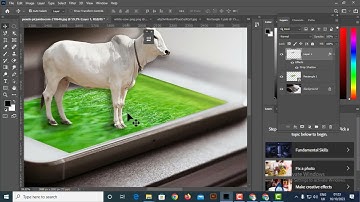 Photoshop Basic Manipulation