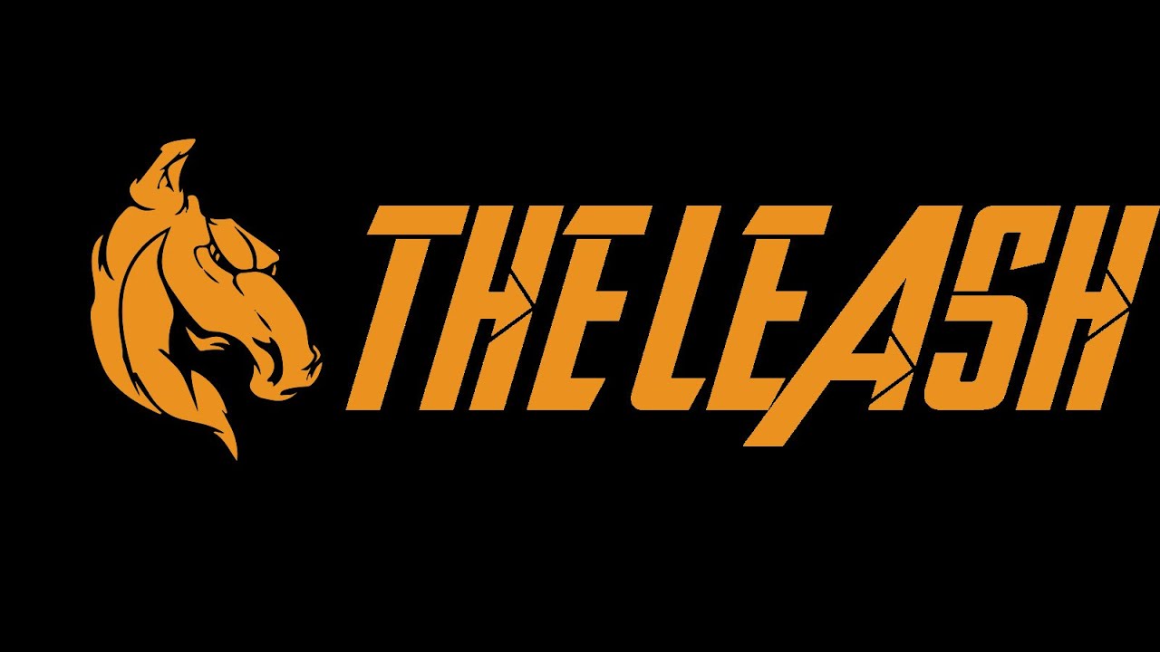 The LEASH Installation
