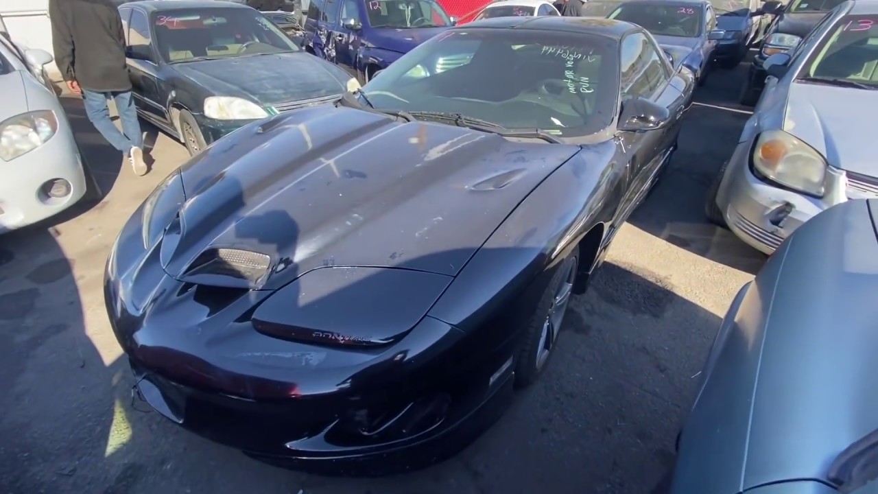 The Rarest Trans Ams RARE TRANS AM AT THE AUCTION! CHEAP! - YouTube