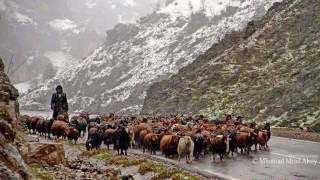 Ahmet Bildirici Sayılır Resimi