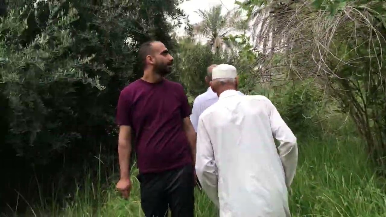 جولة في بساتين مندلي 2