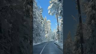 Снег в Словении и дорога на Krvavec sky resort