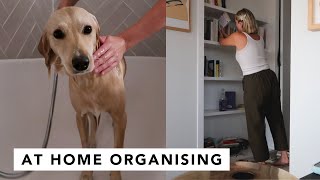 HOME ORGANISATION + EFFIE 🛁 | Estée Lalonde