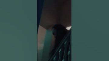 Hackers Fight Assassins: Can Jack Survive the Contract? | Baba Yaga: Assassins Revenge #StashAction