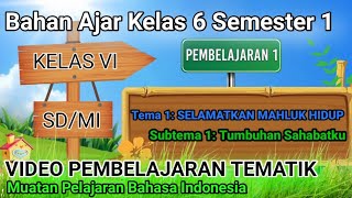 Video Pembelajaran kelas 6 Tema 1 Subtema 1 Pembelajaran 1 - Bahasa Indonesia
