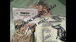 Racikan umpan pelet ikan mas... - Durasi: 3.41. 