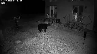 April Bear, Bear Lake Wi