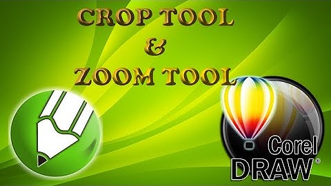 Easy Understanding of the Crop and Zoom Tool
