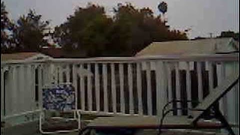 An interesting use for the VueZone cameras... dog toys?