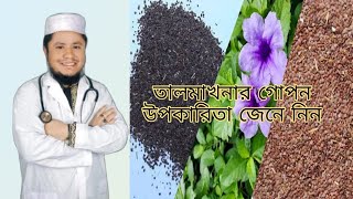 তালমাখনার গোপন উপকারিতা Benefits of palm oil || Kolikata Herbal || কলিকাতা হারবাল