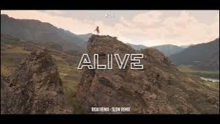 SLOW REMIX !!! Riski Remix - K-391, Alive - ( Slow Remix )