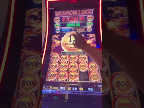 Juega al Casino en Vivo Drago Bet: ¡Experiencia de Juego Online en España!