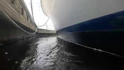 12 10 5 Abaco Dreams WL