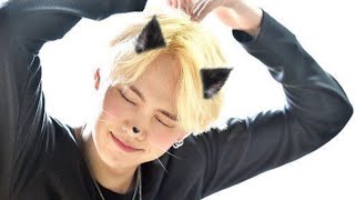 Yoongi Being the Playful Kitten He Is