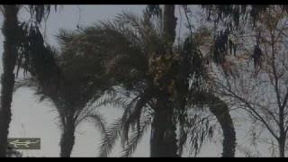 carnaby reggae - vol.19