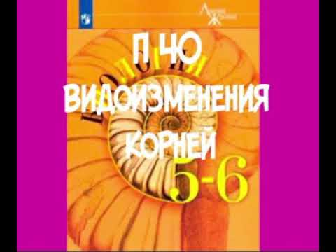 5-6 КЛАСС П 40 ВИДОИЗМЕНЕНИЯ КОРНЕЙ / КОРНЕВЫЕ КЛУБНИ / ДЫХАТЕЛЬНЫЕ КОРНИ /