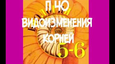 5-6 КЛАСС П 40 ВИДОИЗМЕНЕНИЯ КОРНЕЙ / КОРНЕВЫЕ КЛУБНИ / ДЫХАТЕЛЬНЫЕ КОРНИ /
