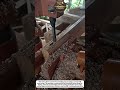 High-Speed Wood Slot Mortising Process | Boosting Workshop Productivity