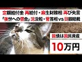 【特別定額給付金・本当にありがとう 麻生太郎】10万円 一律給付は「後世の借金」菅政権 VS 日銀総裁「沈没船 国債買取」【2回目 再給付】国民民主党 玉木雄一郎 提言