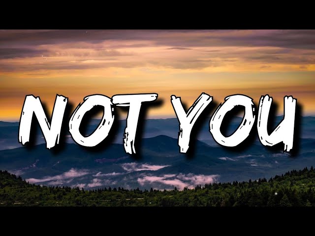 Alan Walker - Not You (Lyrics) ft. Emma Steinbakken [4k] class=