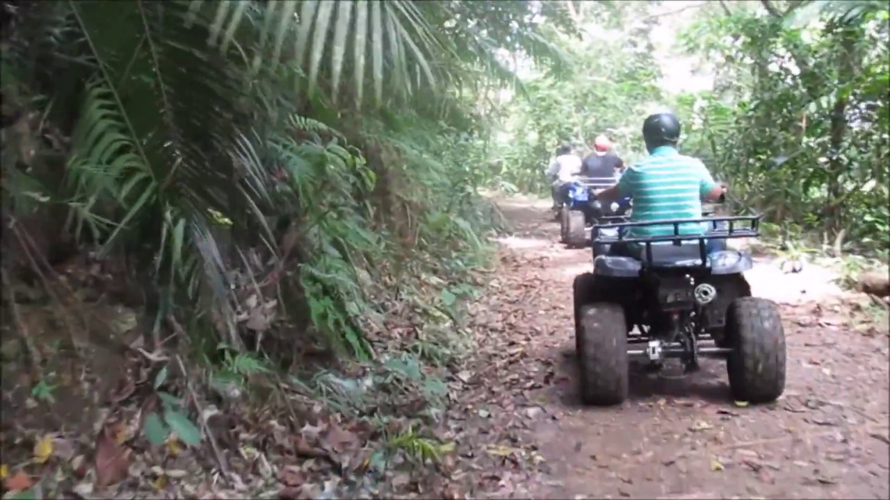 ATV tour at the Chocolate Hills in Bohol YouTube