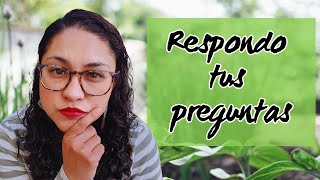 Resuelve tus dudas: Respondo a las preguntas Frecuentes sobre Cultivos en Casa🌱👌💚 by Desde la Raíz - Huertos Urbanos 724 views 1 month ago 28 minutes