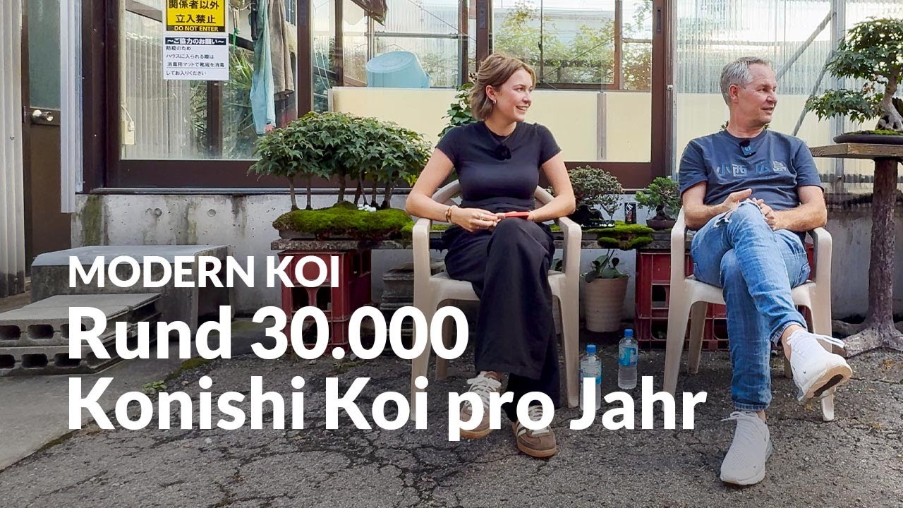 Wie viele Koi verkauft Konishi pro Jahr? | Modern Koi Blog #7690