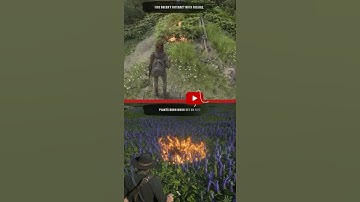 The Last Of Us Part II vs Red Dead Redemption 2