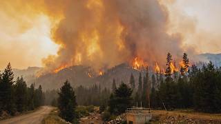 🚨 Paradise Fire, Washington | 5,400 Acres, 0% Contained, City's Water Supply Burning & Go-Now