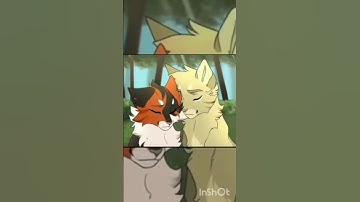 Mapleshade edit #warriorcats #mapleshade #appledusk