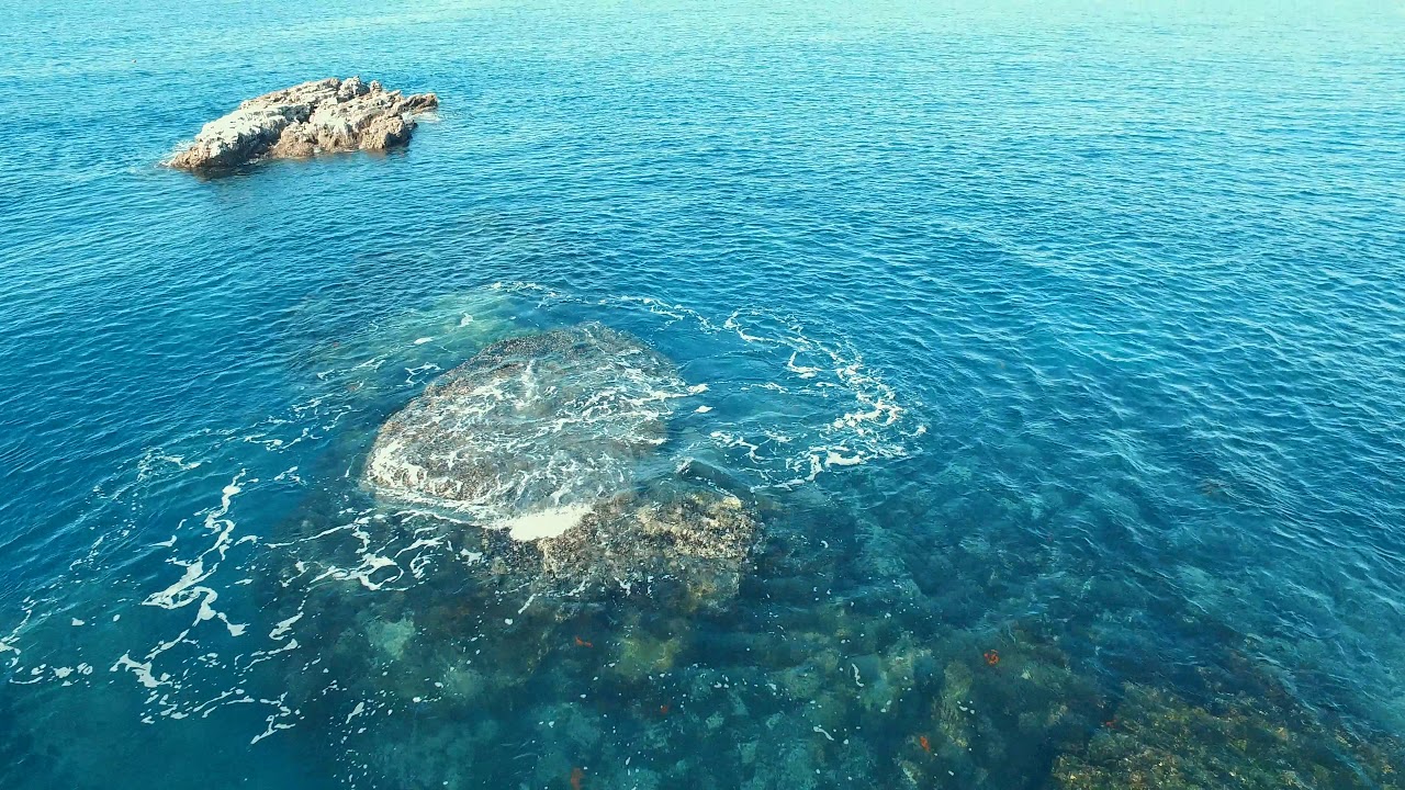 San Mateo rocks San Clemente lots of marine life