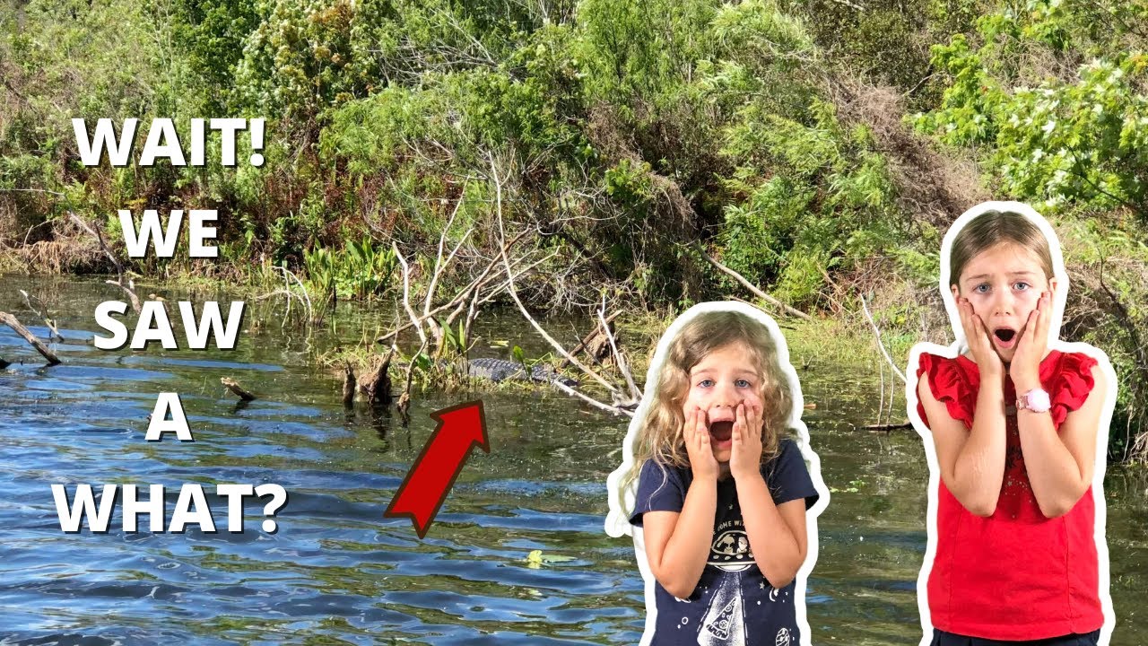 Gator Sighting At Trout Lake Nature Center | Eustis, Florida