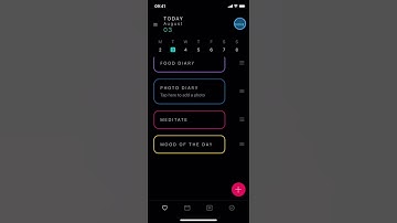 Moleskine Journey for iOs - How to change habits order