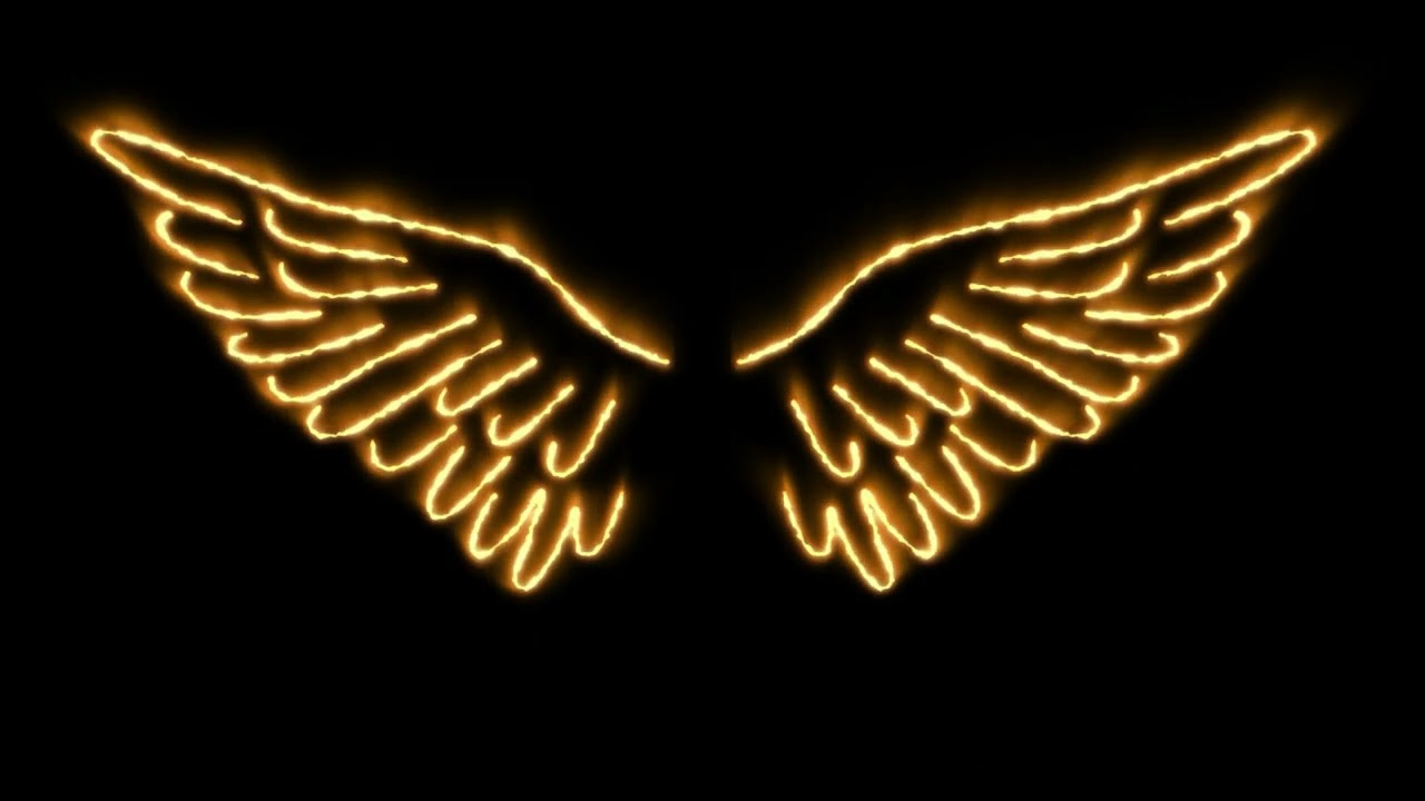 neon burning wings | 4K Sticker | No Copyright | Motion Graphics | Templates | Stock Footage
