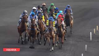 Vidéo de la course PMU PRIX PAUL DELANOE