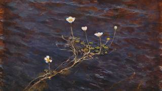 When We Were Flowers | DJ Yudetaro Ambient Mix