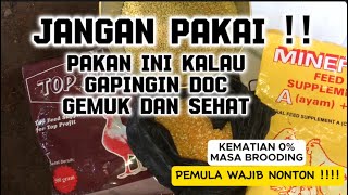 RACIKAN PAKAN UNTUK DOC  ||  MASA BROODING MINIM KEMATIAN