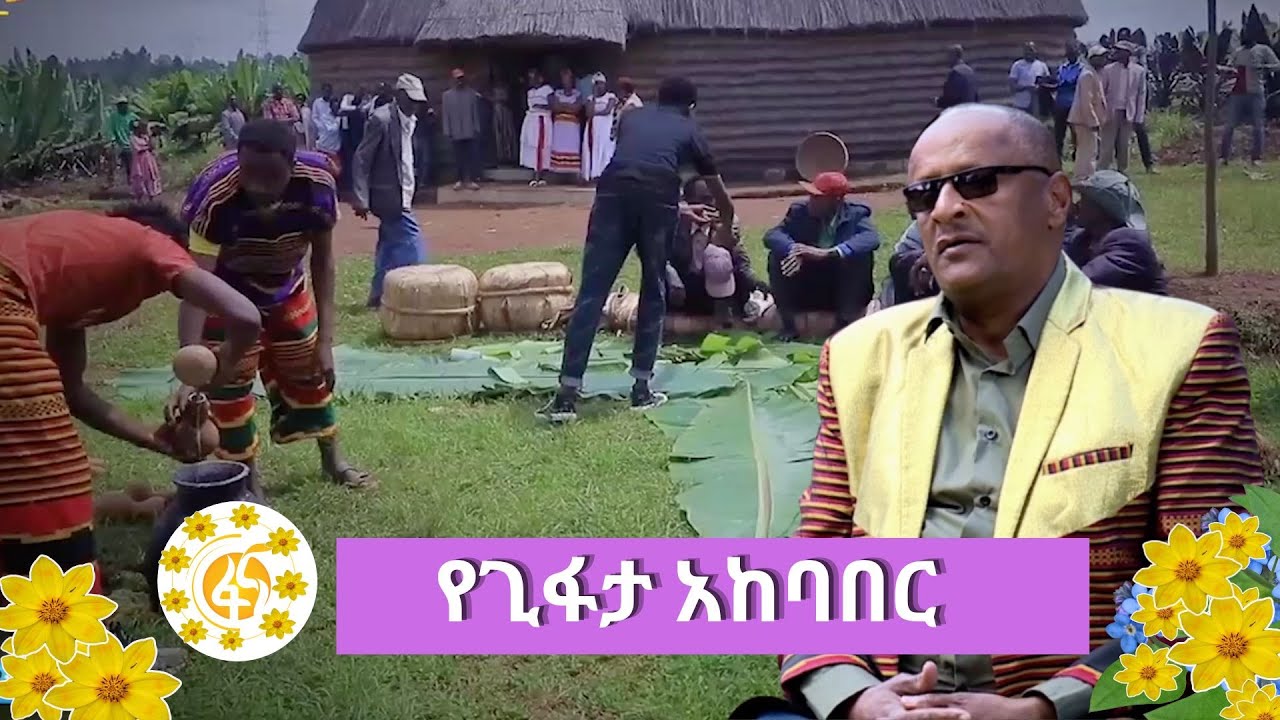 የጊፋታ አከባበር