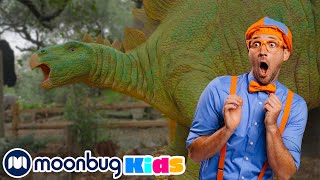 Blippi Meets Dinosaurs at the Santa Barbara Museum of Natural History | Educational Videos | ABC 123