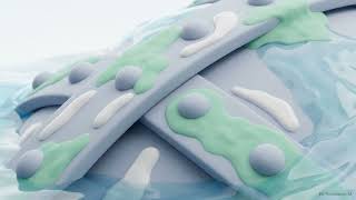 Britain s Subsea Engine The Physics of Tidal Power