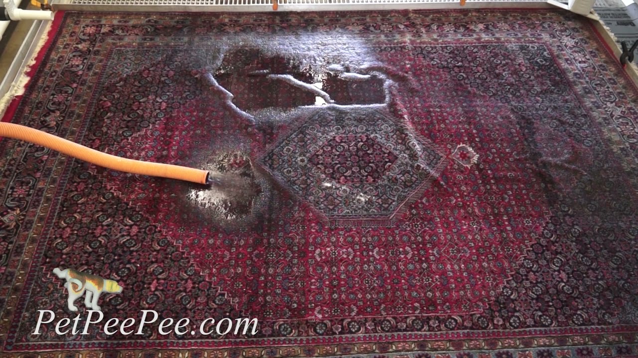 A Cleaning Process that makes sense