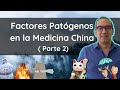 Factores Patógenos en la Medicina China 😷 ( 2 parte) ( NUEVA EDICIÓN)