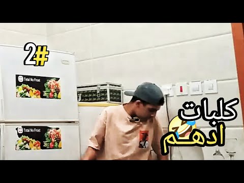 كلبات أدهم الجزء الثاني كلبات اخر مقطع 2