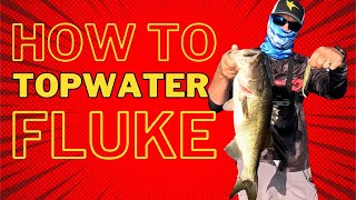 How to Fish a Fluke | Topwater for Bass