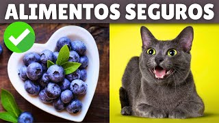 11 alimentos para humanos que en realidad son BUENOS para los gatos