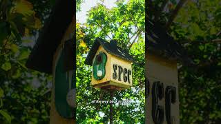 TOP 100 public Courses | Southern Pines